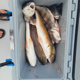 Fishing is great right now.