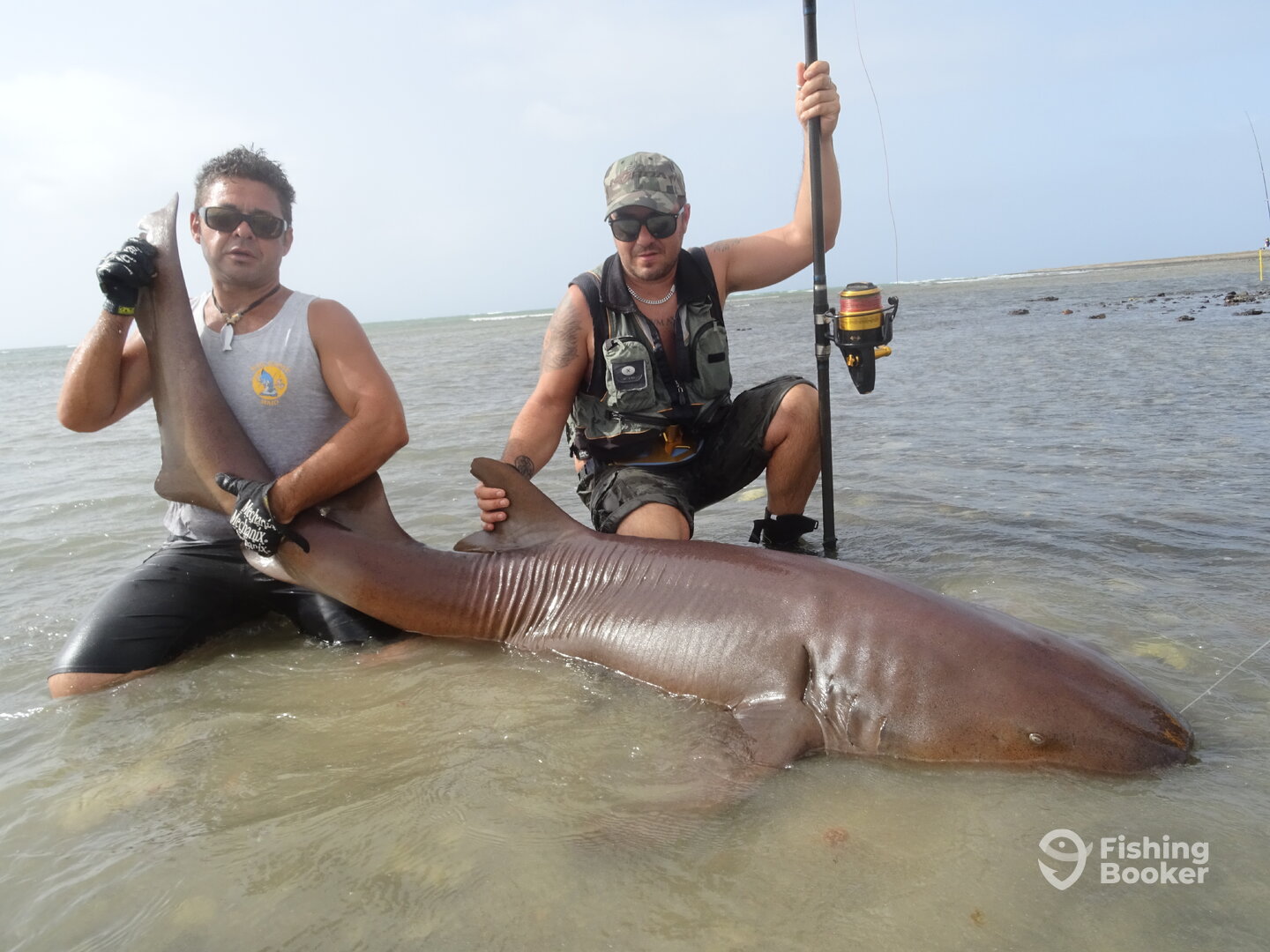 Shark Fishing Cape Verde