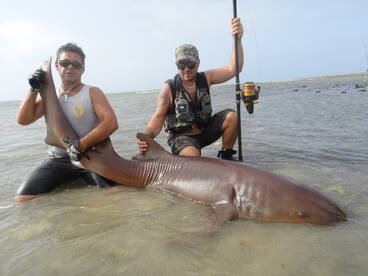 Shark Fishing Cape Verde