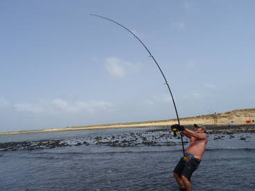 Shark Fishing Cape Verde