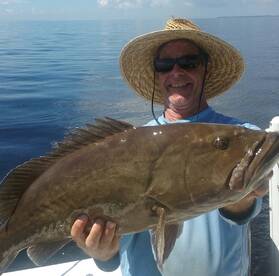 Tampa Bay Gag Grouper