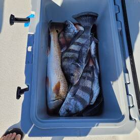 Fishing is great in Rockport right now 