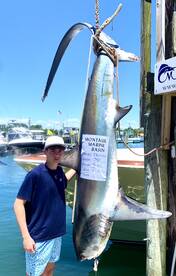 Montauk Report Photo 2