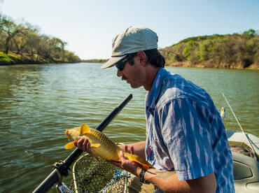 Multi-Species Mayhem!