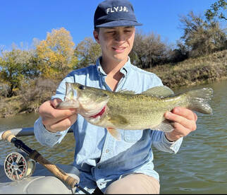 Granbury Report Photo 2