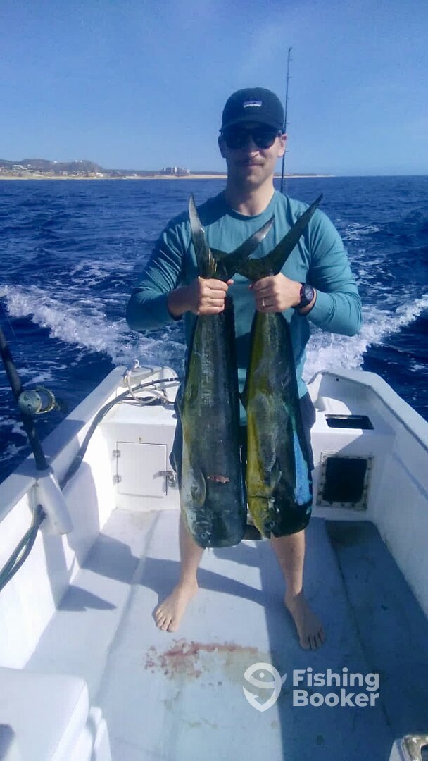 San Jose del Cabo Report Photo 0