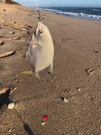 Cocoa Beach Report Photo 2