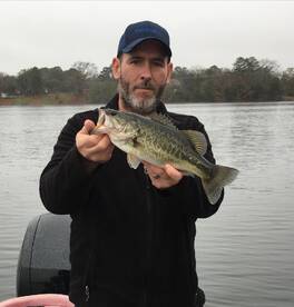 Quitman Report Photo 2