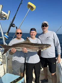 Cobia, triggers, vermilions and more!!!