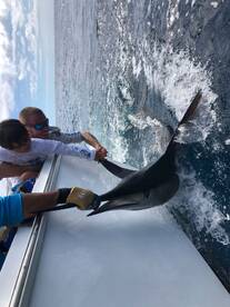 Congratulations to this 5 Year old for c