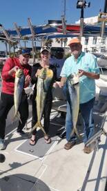 San Jose del Cabo Report Photo 1