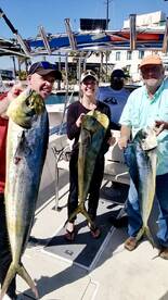 San Jose del Cabo Report Photo 2