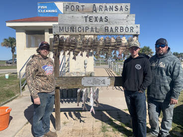 Sheep head on fire!!!