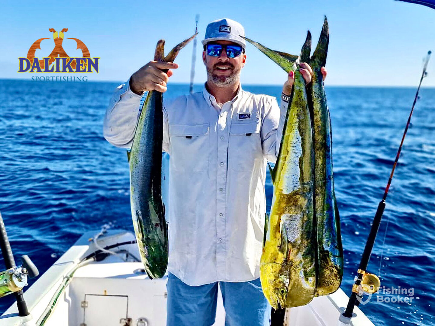 San Jose del Cabo Report Photo 0