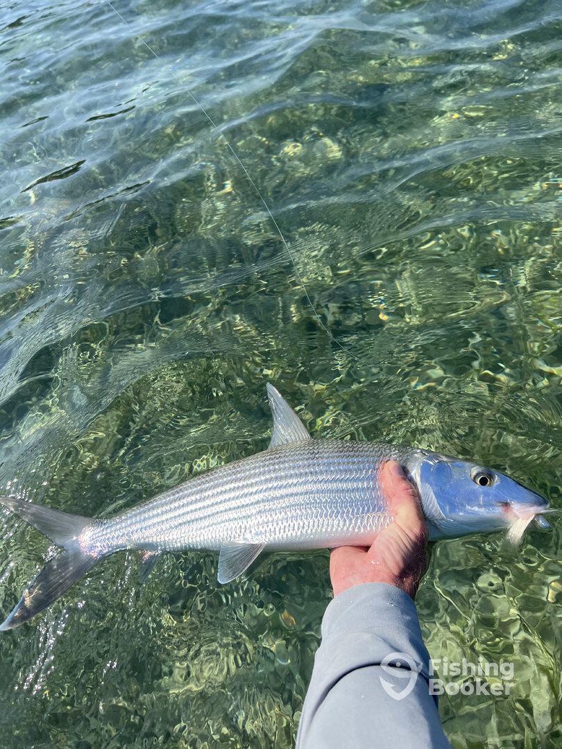 Key West Report Photo 0