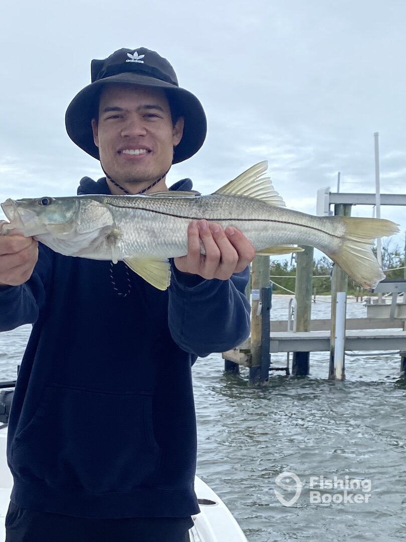 Snook