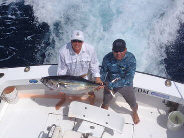 Marlin bite!