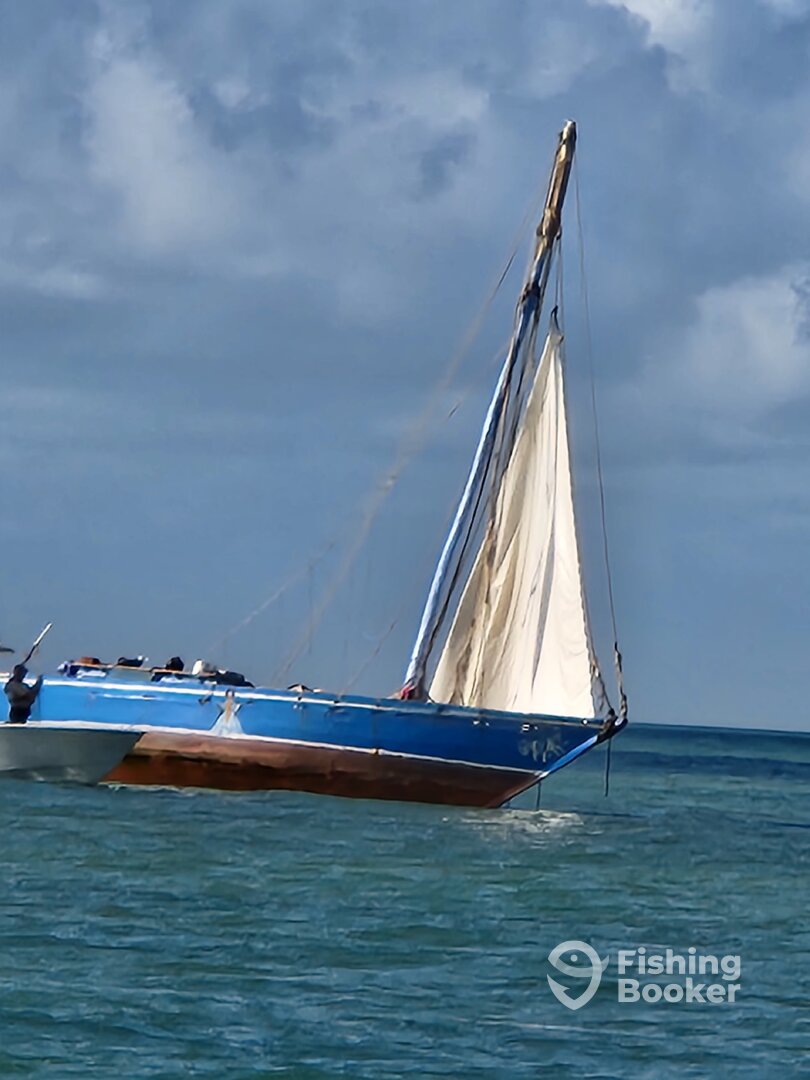 Tavernier Report Photo 0