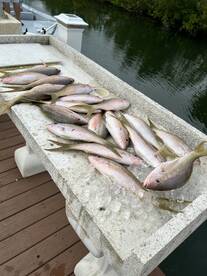 Ramrod Key Report Photo 2