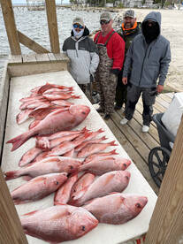 Orange Beach Report Photo 1