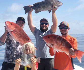 Grouper red snapper trigger fish and more