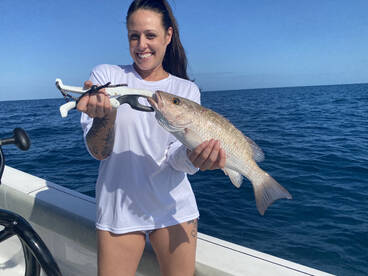 The hot bite is on! Mid December Update