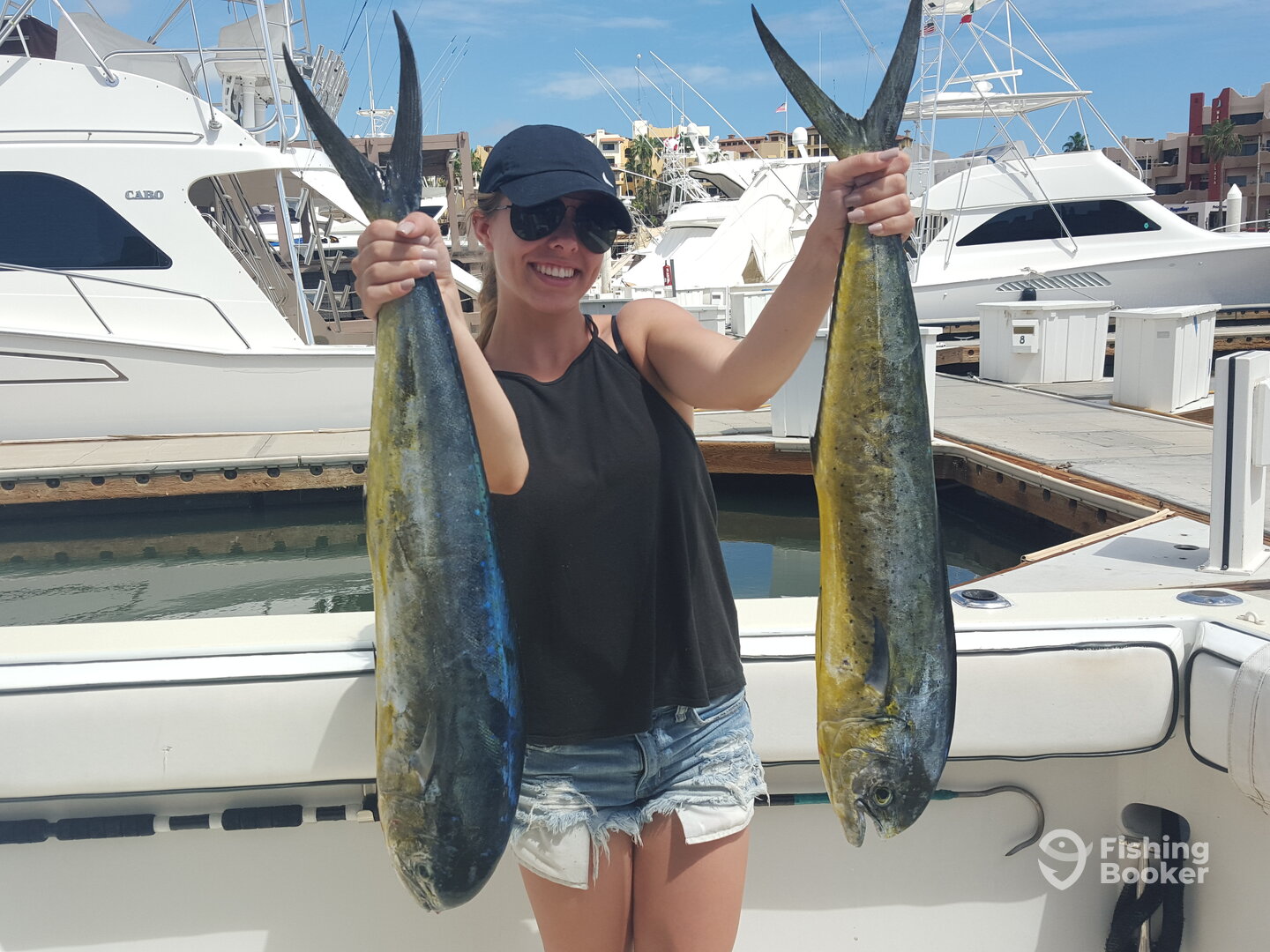 Cabo San Lucas Report Photo 0