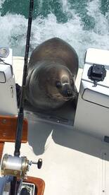 Cabo San Lucas Report Photo 2