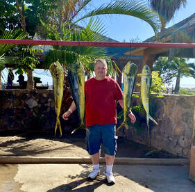 San Jose del Cabo Report Photo 1
