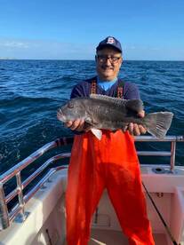 Montauk Report Photo 2