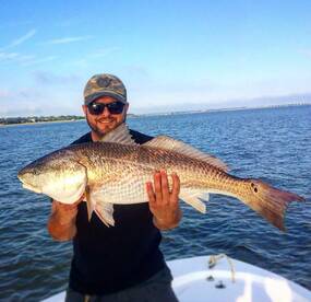 Charleston Report Photo 2