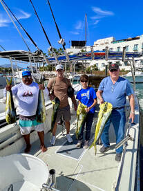 San Jose del Cabo Report Photo 2