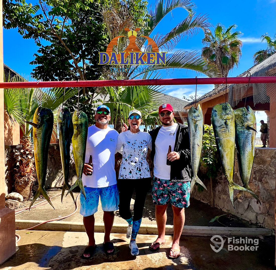 San Jose del Cabo Report Photo 0