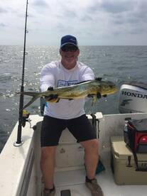 Chicken dolphin(mahi).