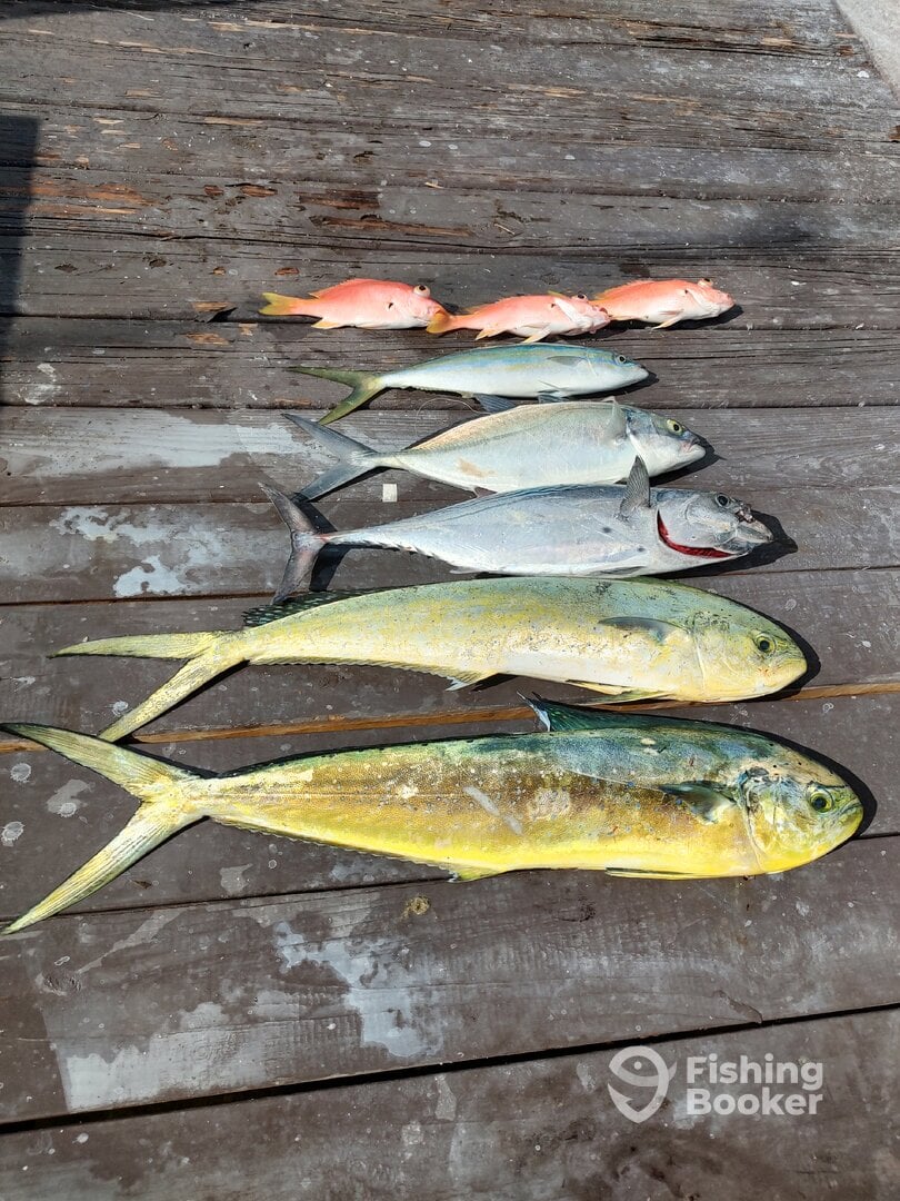 Fort Lauderdale Report Photo 0