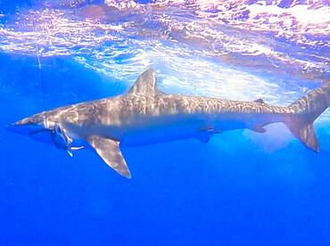 Le Morne Report Photo 1