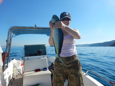 Koper Report Photo 1