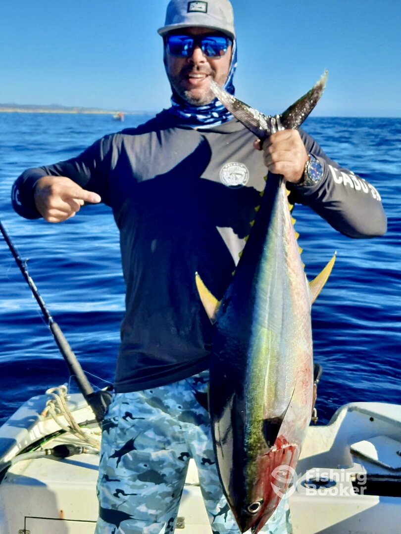 San Jose del Cabo Report Photo 0