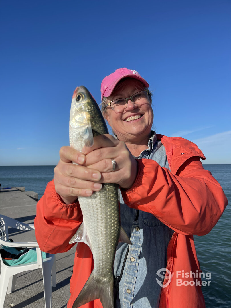 Longboat Key Report Photo 0