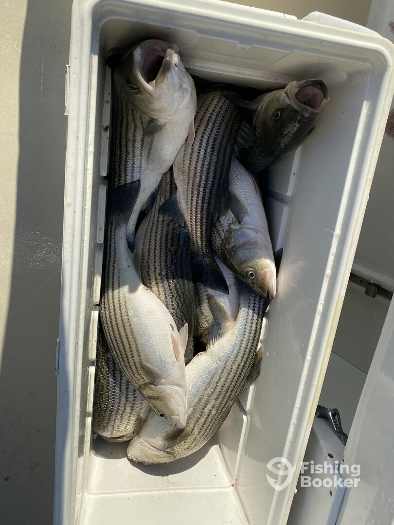 Reedville Report Photo 0