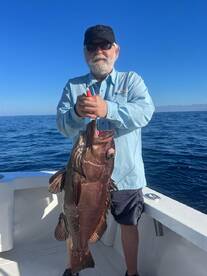 Cabo San Lucas Report Photo 2