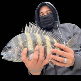 Sheepshead bite is on fire 