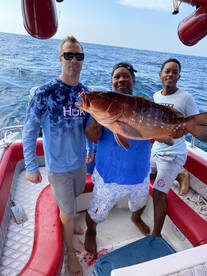 Cartagena Report Photo 1