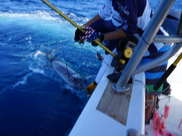 Herradura Report Photo 2