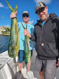 Mahi Mahi! 12/28/2022