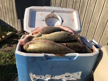 Lakeside Marblehead Report Photo 2