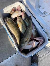 Lakeside Marblehead Report Photo 1