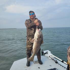 Big black drum today