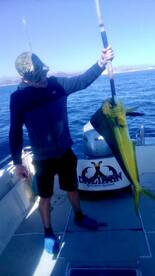 San Jose del Cabo Report Photo 1