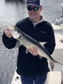 Jacksonville Report Photo 2